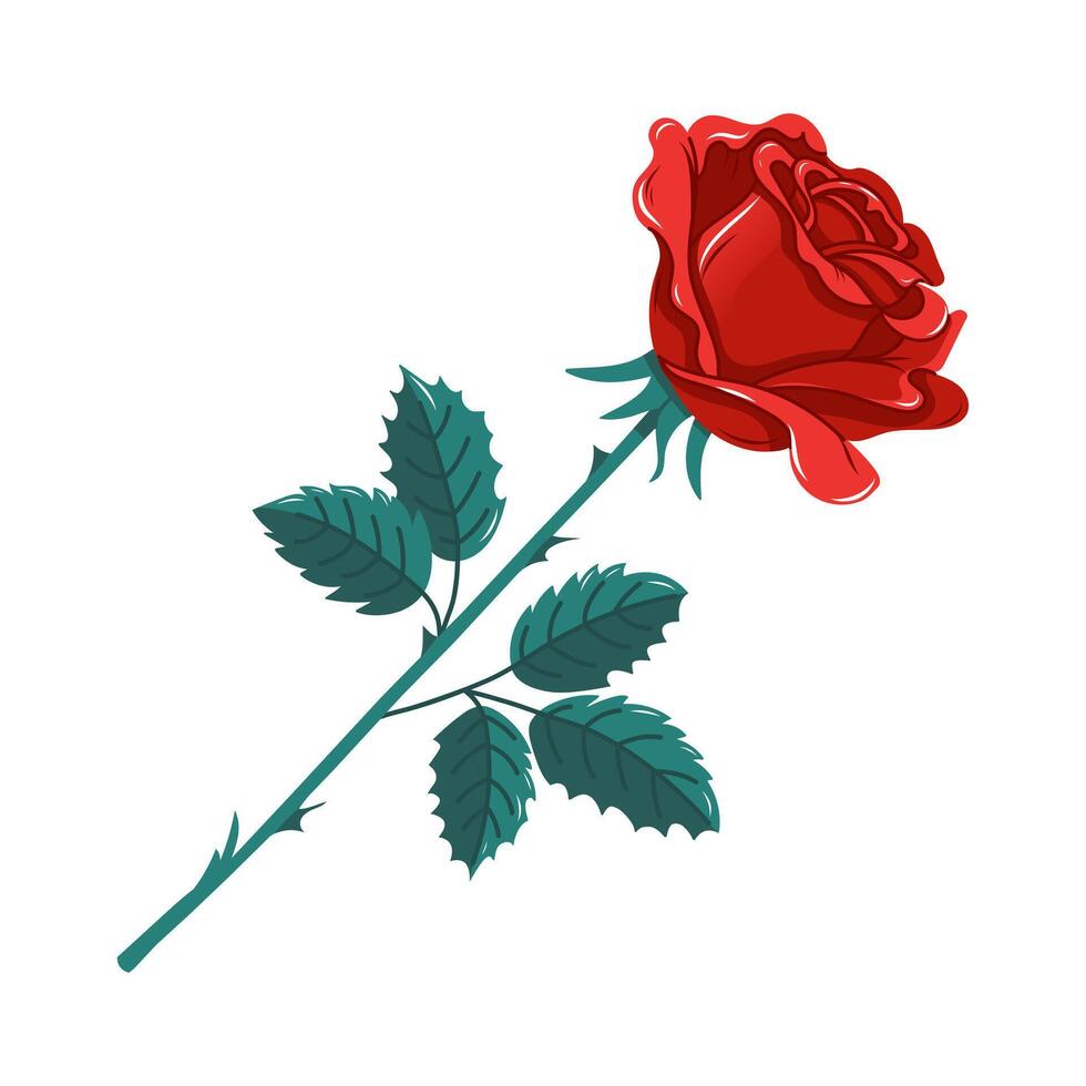 Hand drawn vector illustration of a rose bud. Red rose flower with stem and leaves