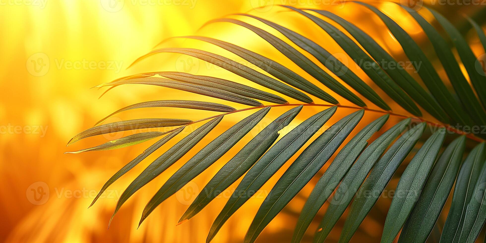 AI generated Vibrant palm leaf radiating with golden sunlight backdrop photo