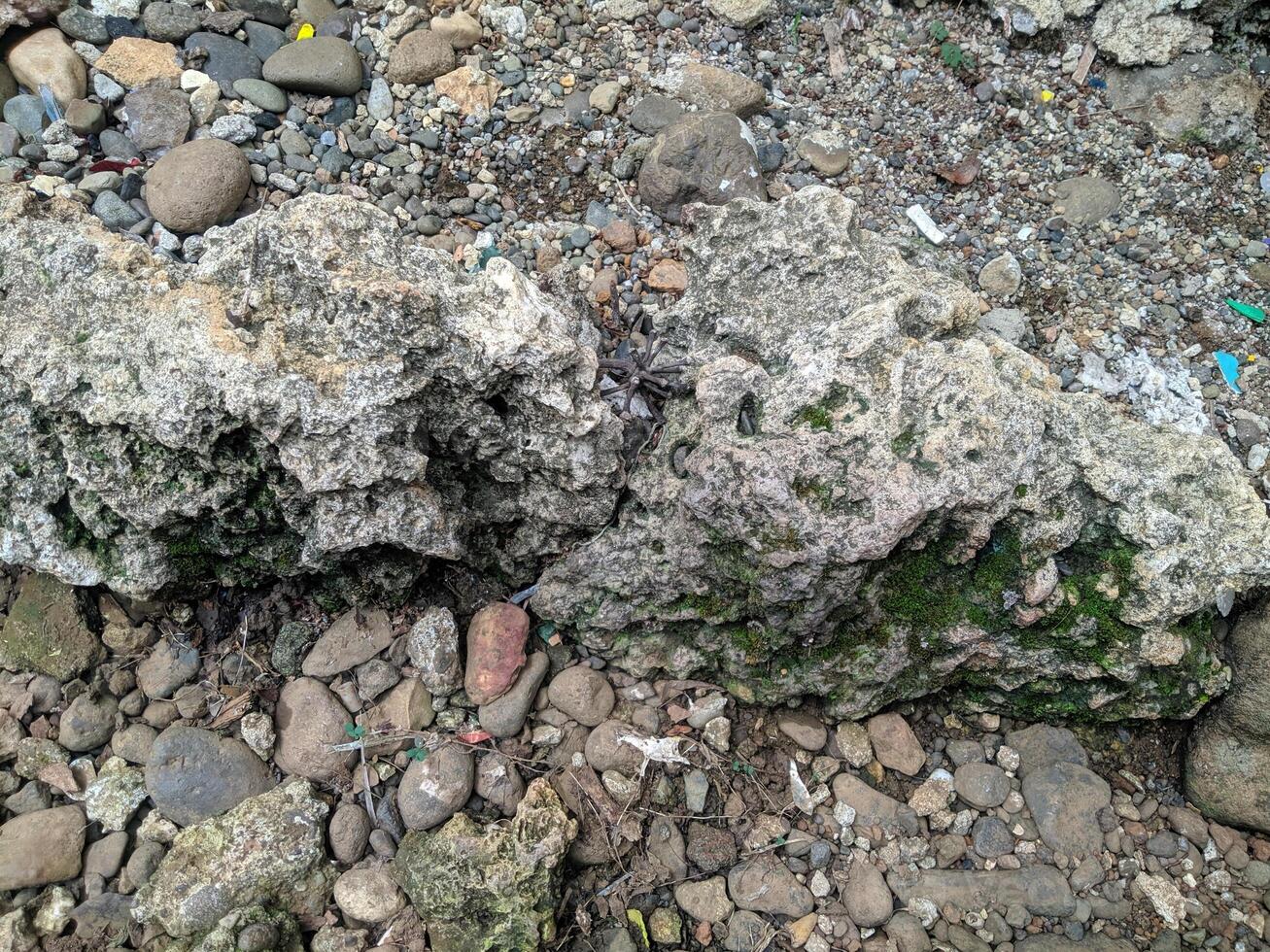 Close up view of the strange patterned background of mountain rocks taken while traveling in Sulawesi, Indonesia photo