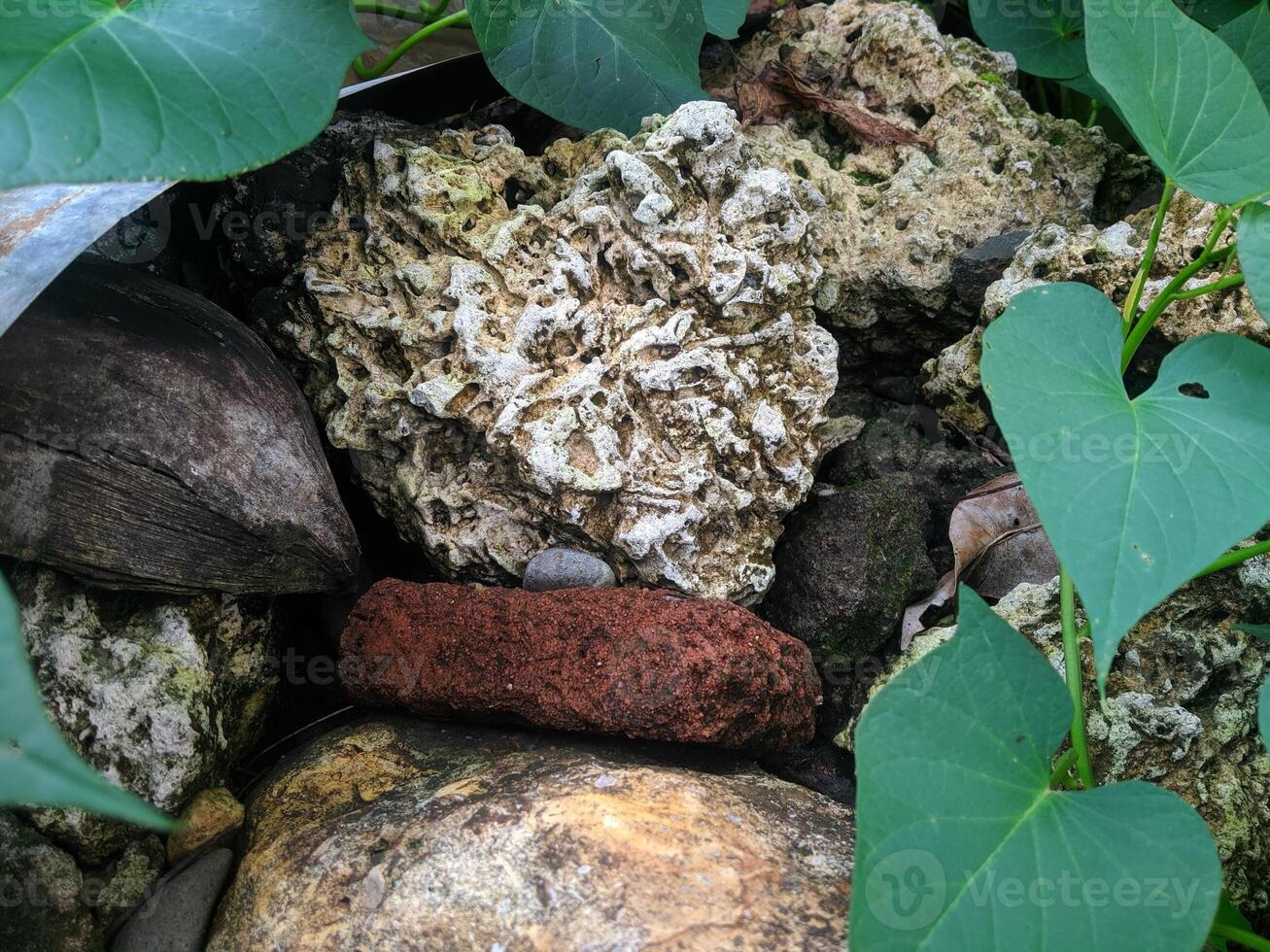 Close up view of the strange patterned background of mountain rocks taken while traveling in Sulawesi, Indonesia photo