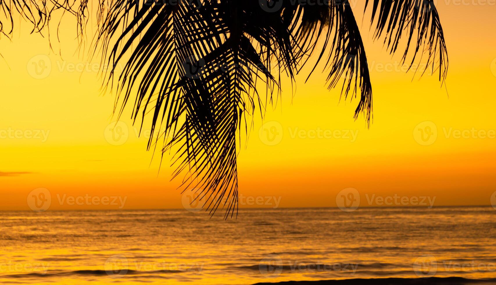 Silhouette of palm tree on the beach during sunset of beautiful a tropical beach on sky background photo