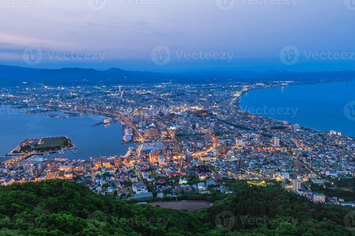Night View from Mount Hakodate, Goryokaku Tower in Hokkaido, Japan. photo