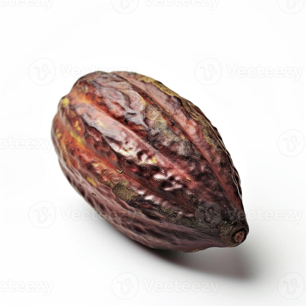 AI generated A single organic cacao bean isolated on a transparent background photo