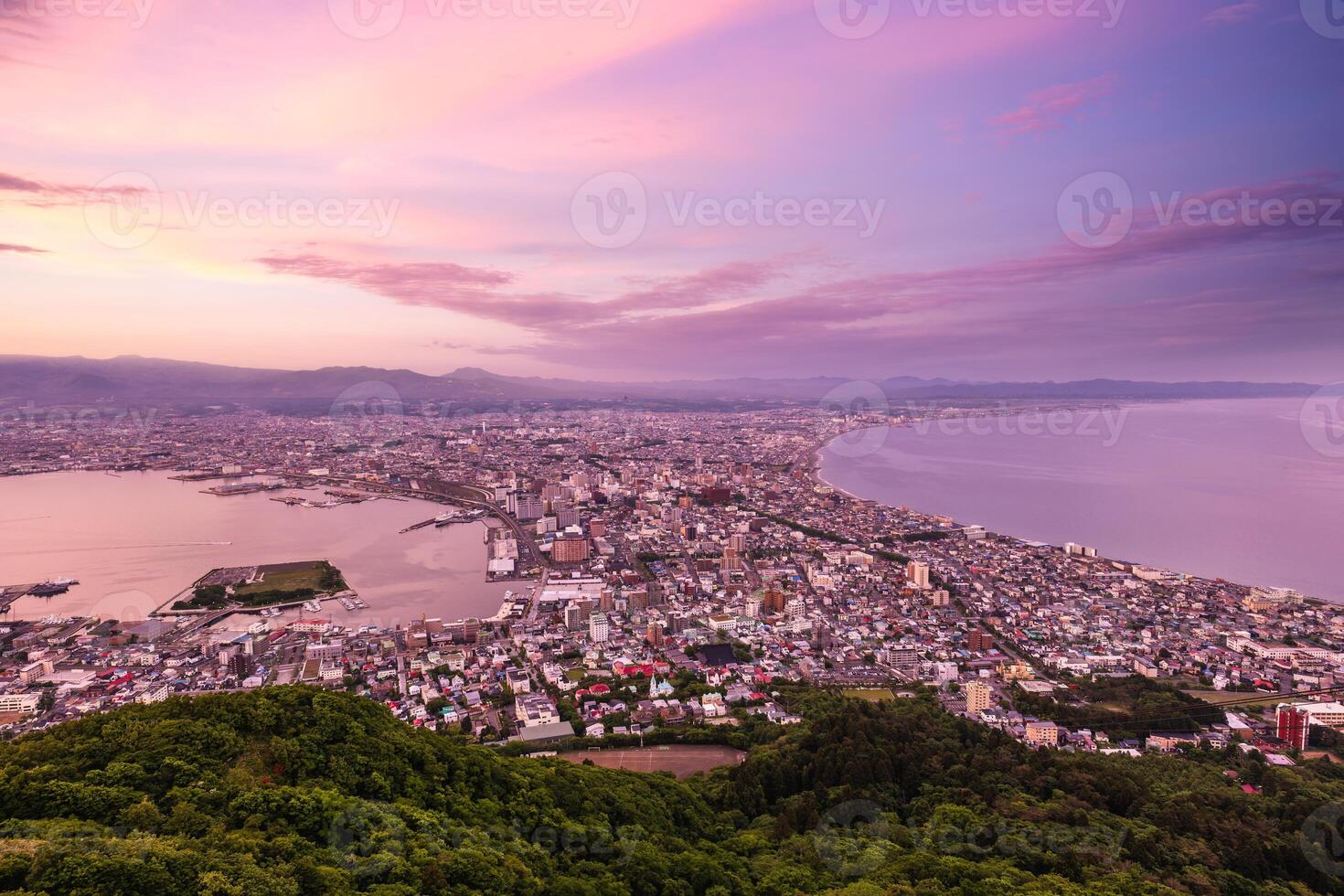 noche ver desde montar hakodate, goryokaku torre en Hokkaidō, Japón. foto