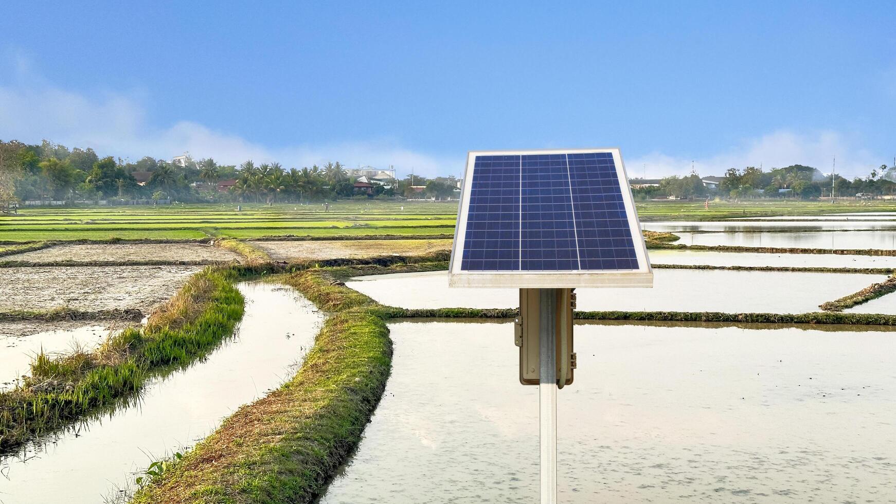 Paddy field irrigated with solar energy in rural area photo