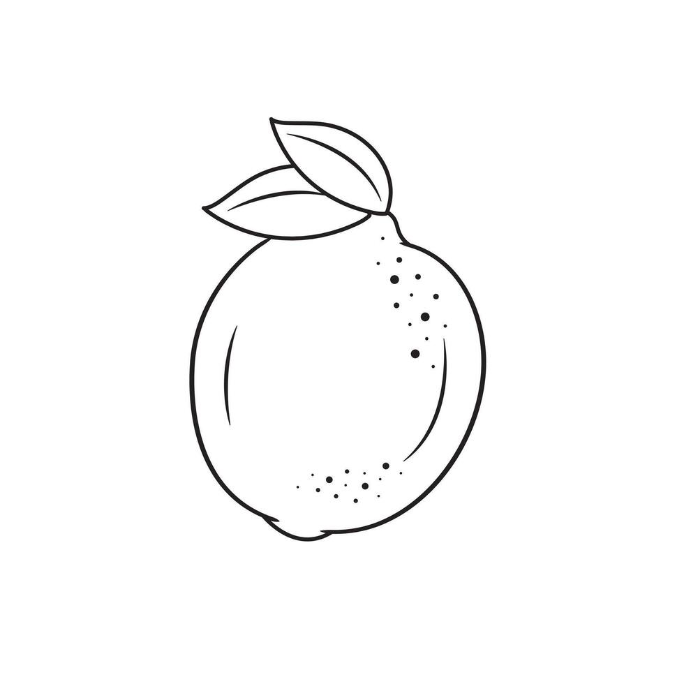 Lemon Fruit Outline With Two Green Leaves Line Art Of Lemon On White Background Vector Illustration