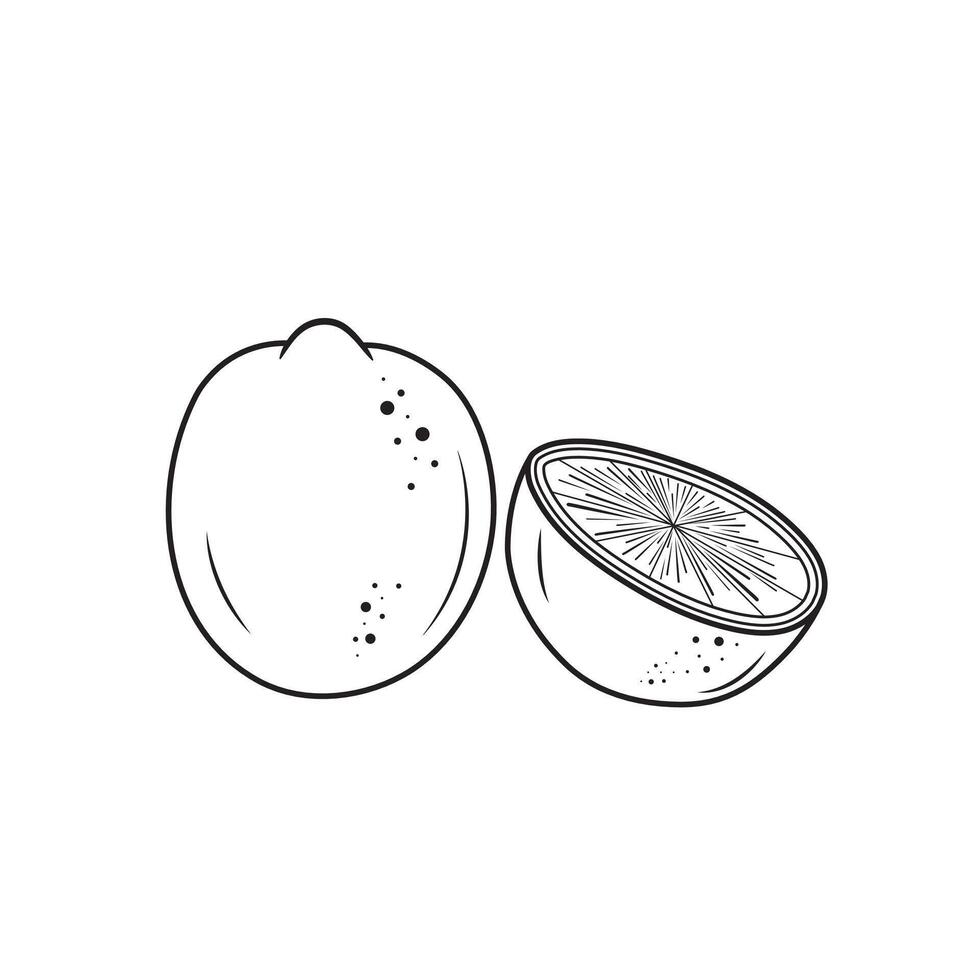 Black Outline Whole Lemon With Half Juicy Lemon Line Art On White Background Vector Illustration