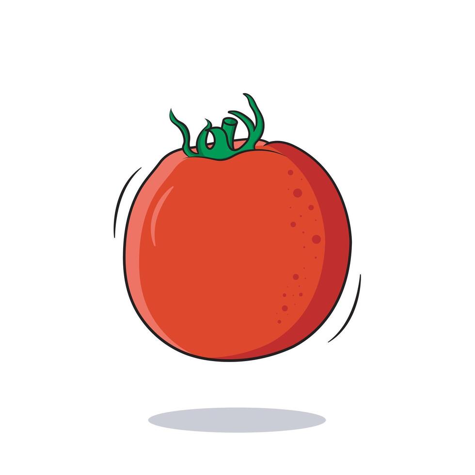 Fresco jugoso todo tomate aislado en blanco fondo, vector ilustración