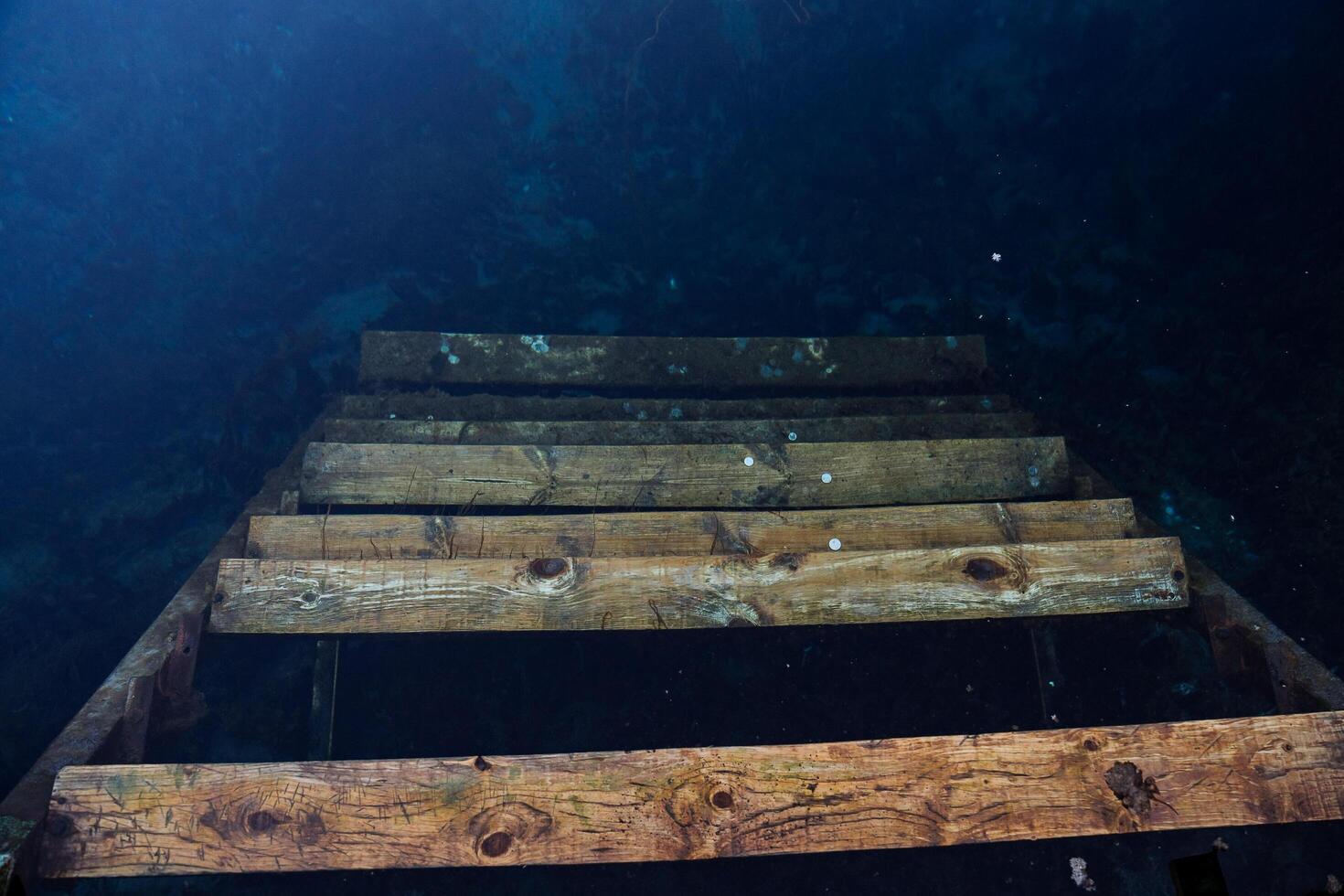 pasos debajo agua. el escalera abajo es oculto debajo el agua. lago vaciado el escaleras. reflexión. profundamente ahogue abajo foto