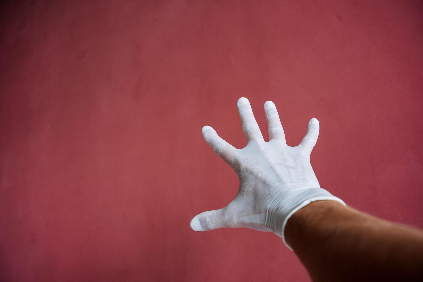 a hand in a white medical glove stretches forward, a sweaty hand under latex, fingers spread out against a maroon wall, hand protection photo