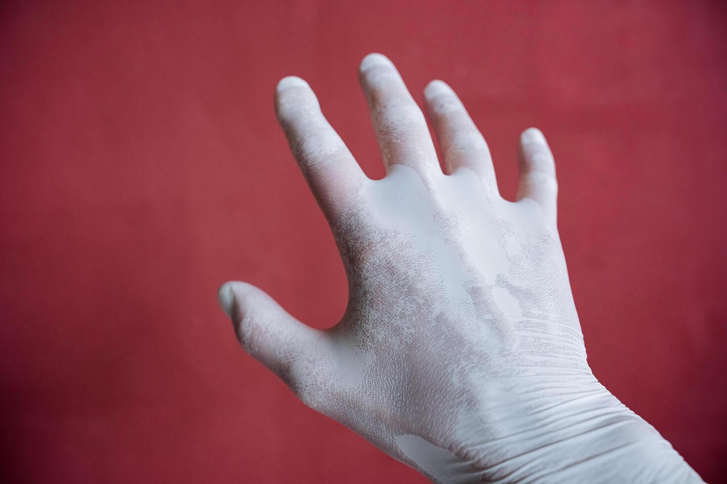 un mano en un blanco médico guante estiramientos adelante, un sudoroso mano debajo látex, dedos untado fuera en contra un granate muro, mano proteccion foto