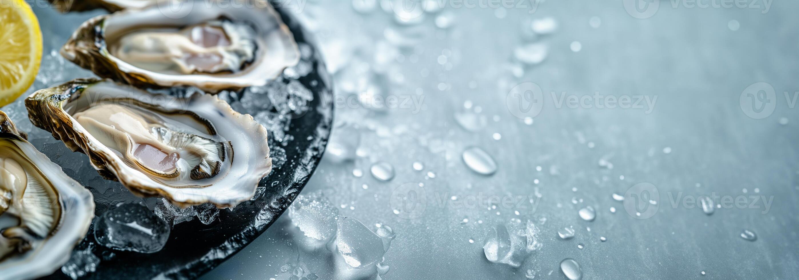Fresh Oysters with Lemon on Ice photo