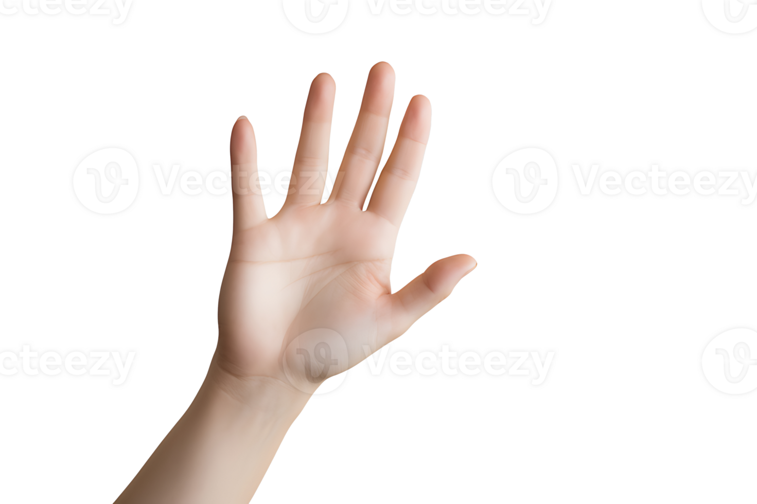 AI generated Human hands and gestures on background png
