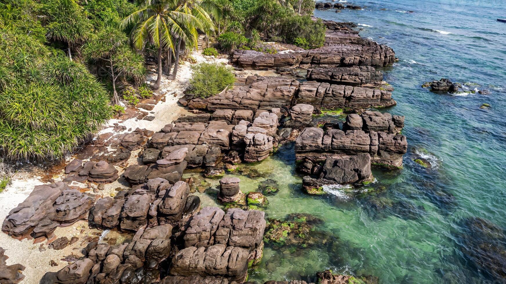 Tropical Serenity, Rocky Shores and Palms photo