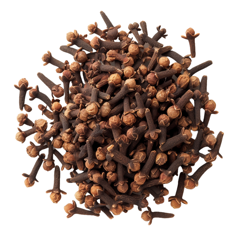 AI generated cloves isolated on transparent background png