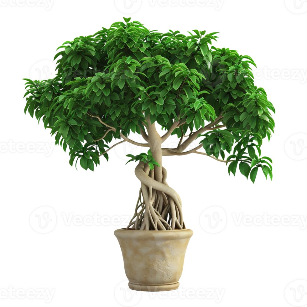 AI generated beautiful banyan tree in a pot with a transparent background png