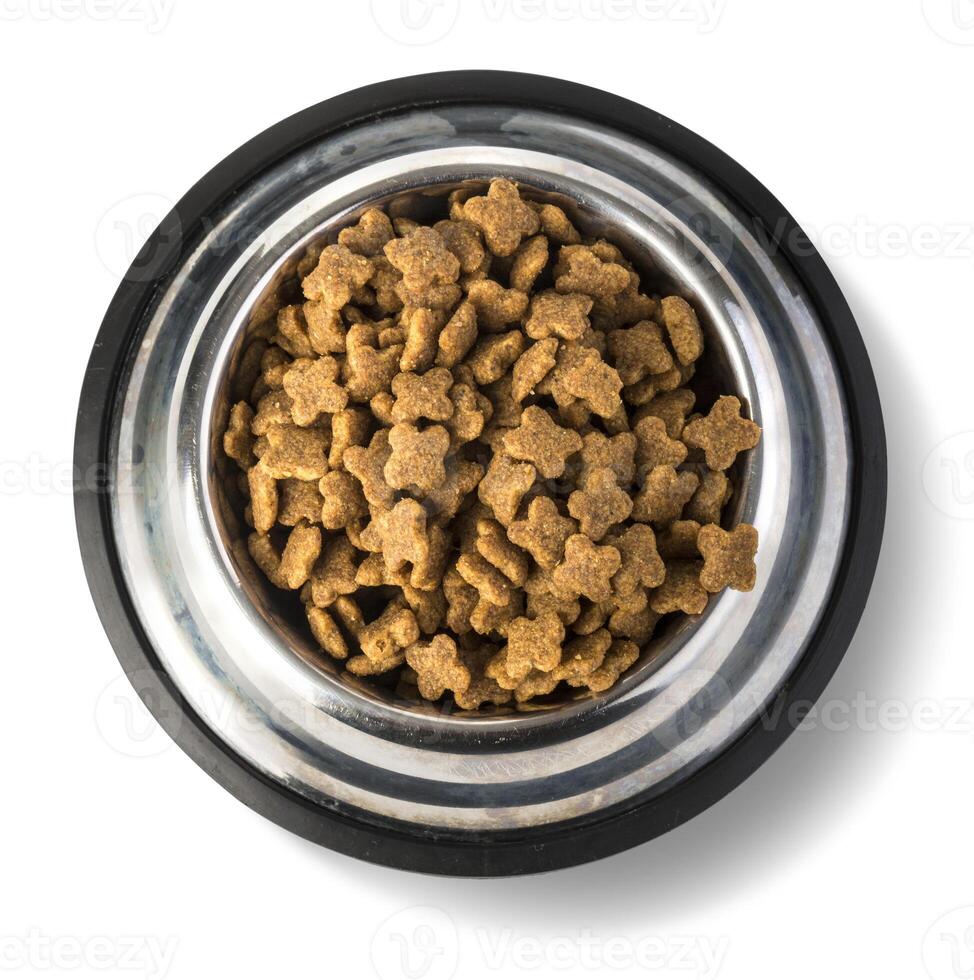 A Steel Bowl full of dog-food. photo