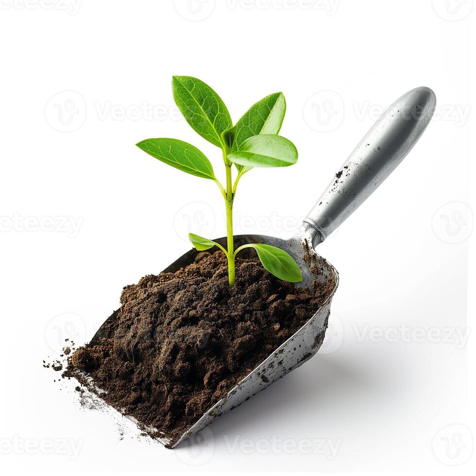 AI generated A metallic garden trowel with a sprouting seedling isolated on a transparent background photo