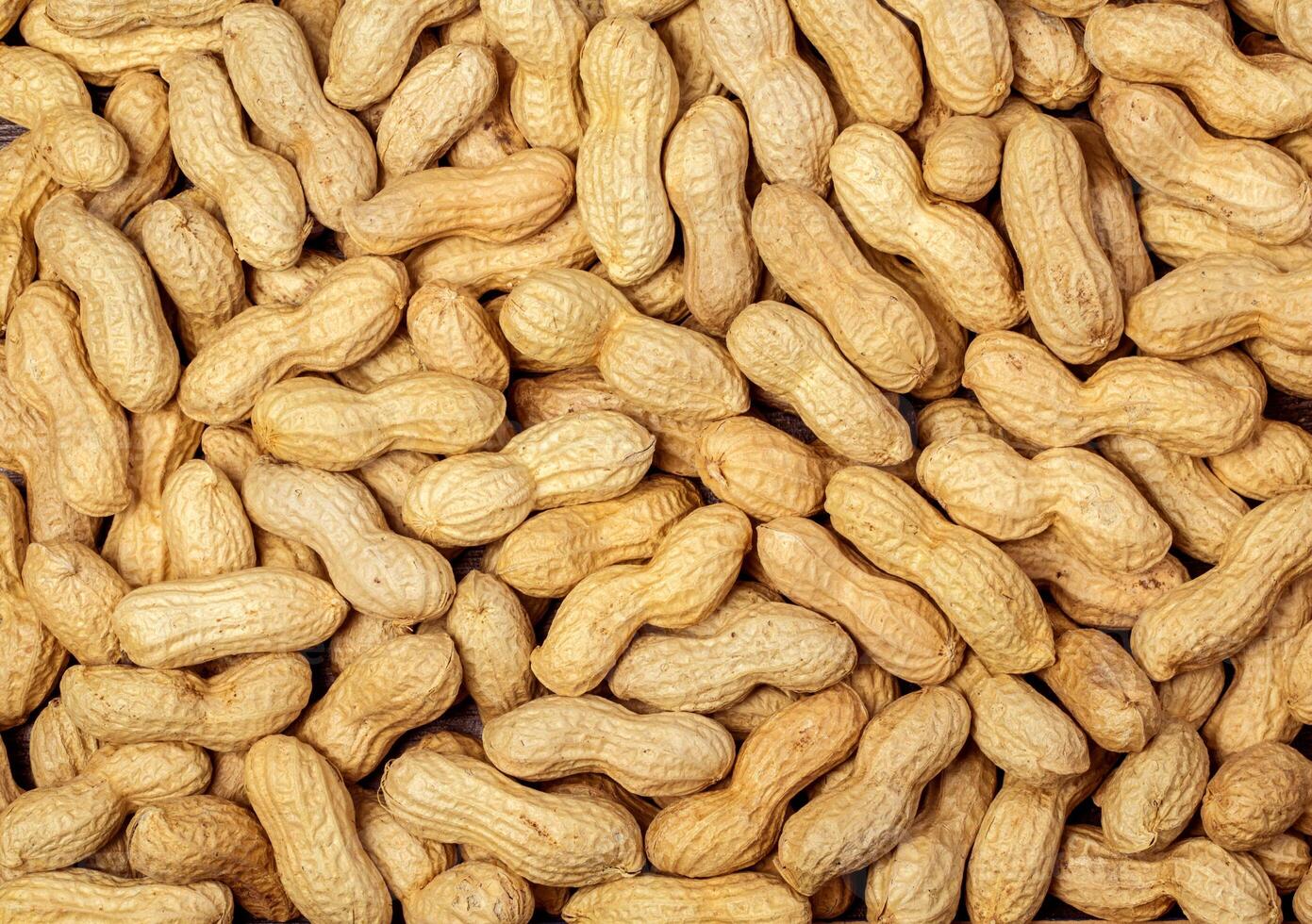 Peanuts in shell texture background. photo