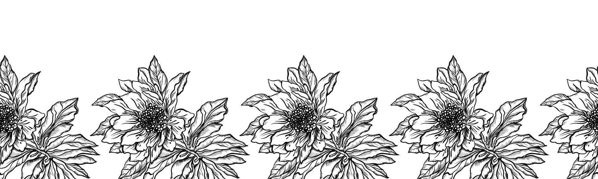 A decorative border of flowers and branches is highlighted on a white background. A pattern of leaves. Vector illustration. For nature, eco and design. Hand-drawn plants, a frame for a postcard.