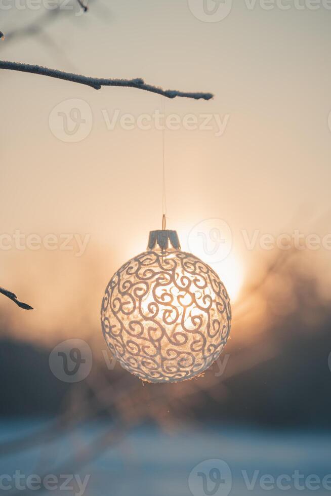 Christmas ball on tree outdoors, creative photo, new year, christmas photo