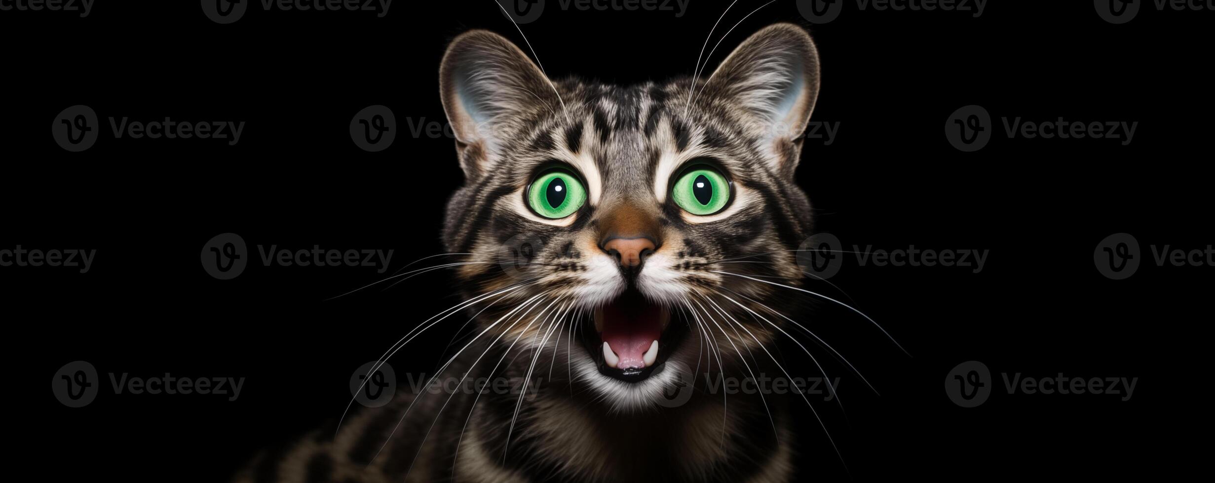 AI generated A cat with its mouth open is looking at the camera. Generated by artificial intelligence. photo