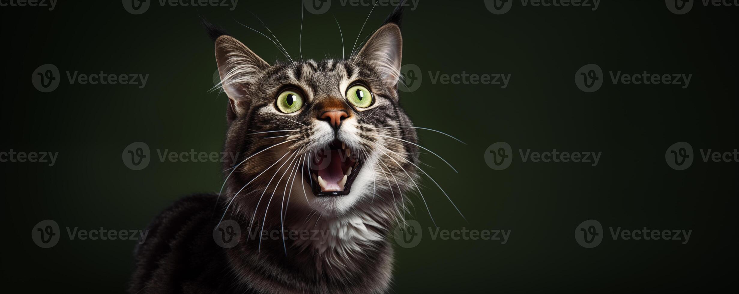 AI generated A cat with its mouth open is looking at the camera. Generated by artificial intelligence. photo