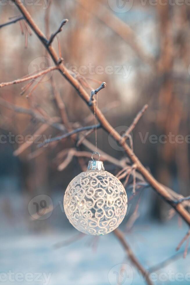 Christmas ball on tree outdoors, creative photo, new year, christmas photo