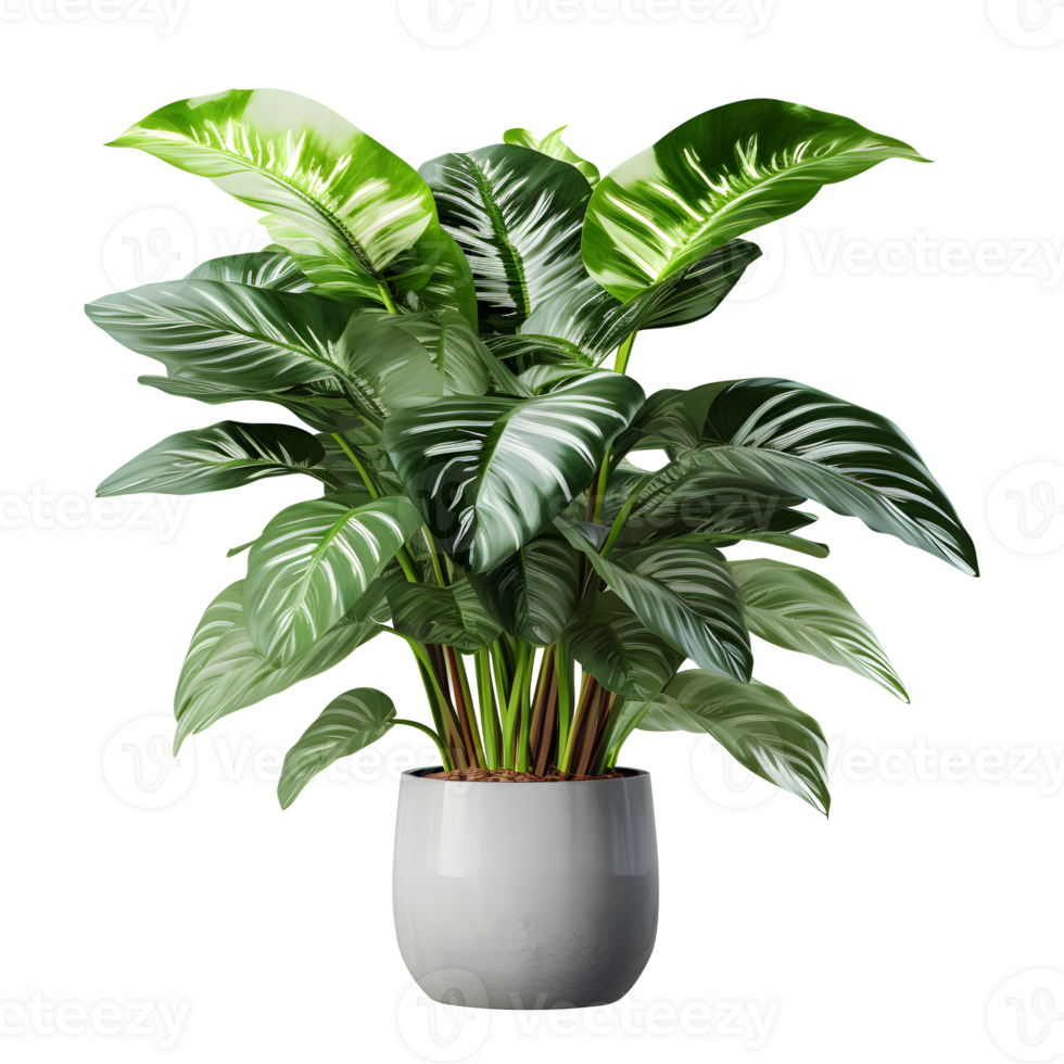 ai generado falso plátano planta png casa planta png casa árbol png falso plátano plantas png artificial plátano planta png hogar planta png falso plátano árbol png monstera árbol png