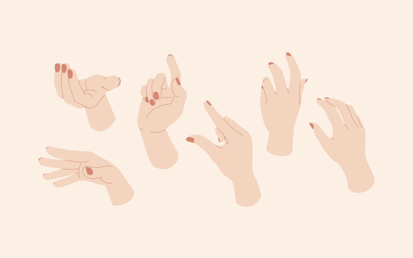 Set of female hands with different gestures. Vector illustration in flat style