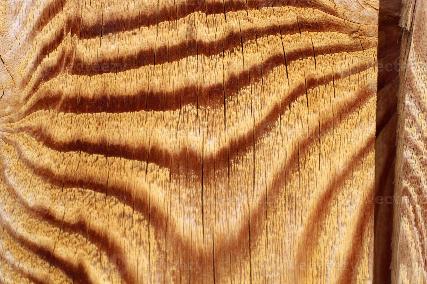 Wood texture, old and shabby photo