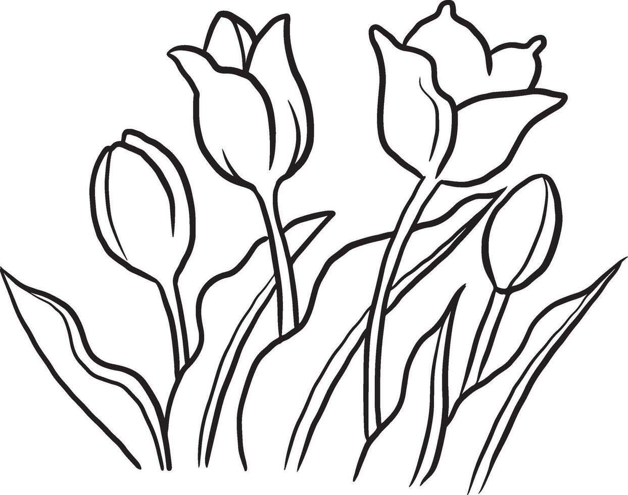 flower plant vector nature art design outline floral draw spring illustration line