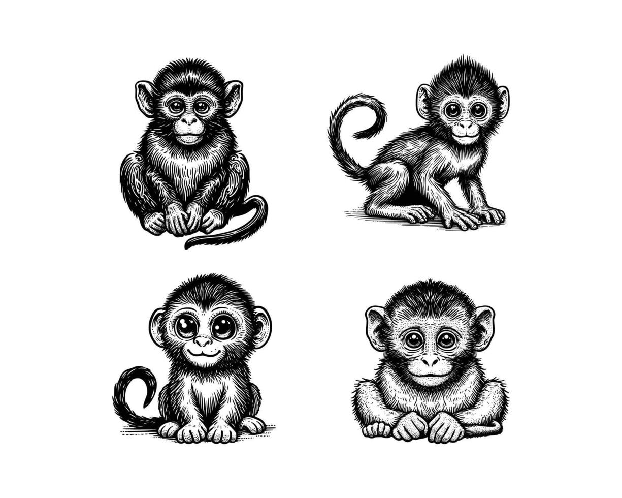 set of monkeys illustration. hand drawn monkey black and white vector illustration. isolated white background