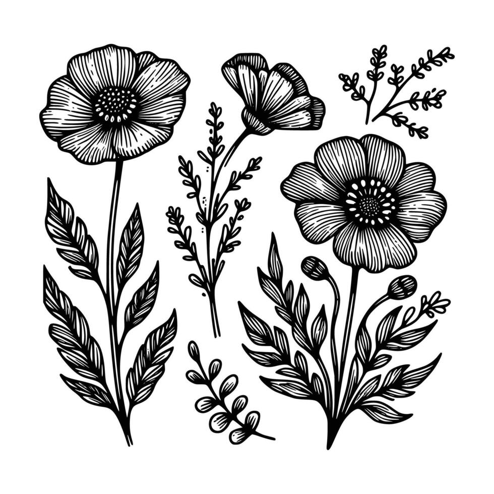 set of floral hand drawn style. flower rose, peony, leaves for decoration. black and white vector flowers  illustration