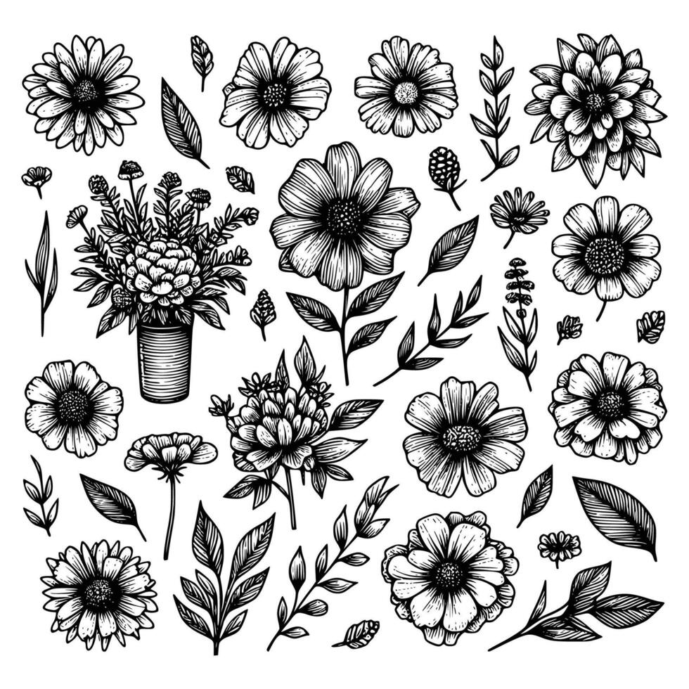 set of floral hand drawn style. flower rose, peony, leaves for decoration. black and white vector flowers  illustration