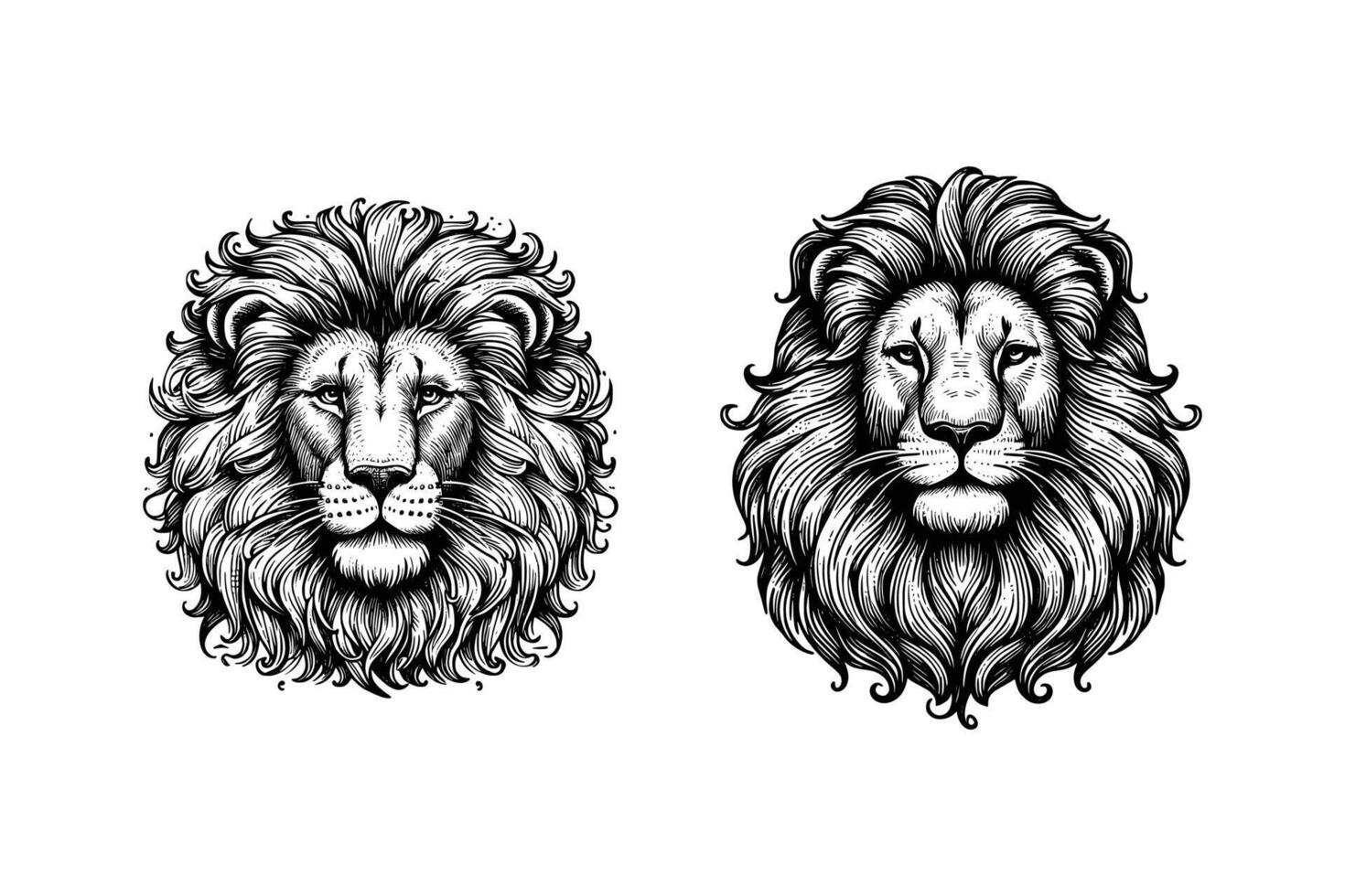 set of lions head  illustration. hand drawn lion black and white vector illustration. isolated white background