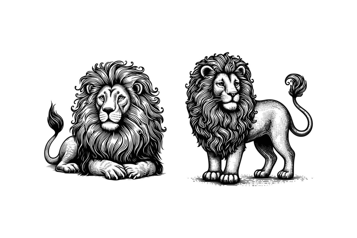 conjunto de leones ilustración. mano dibujado león negro y blanco vector ilustración. aislado blanco antecedentes