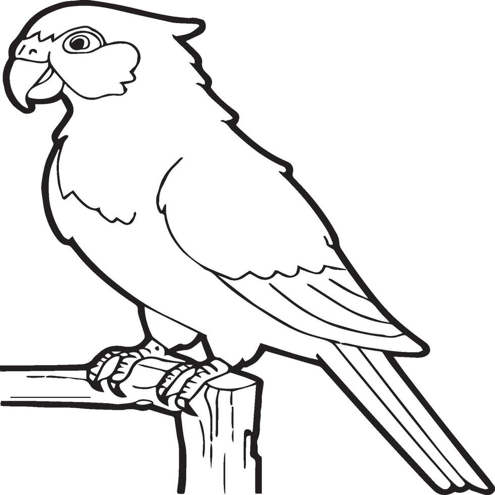 Parrot coloring pages. Coloring pages of Parrot for coloring pages vector
