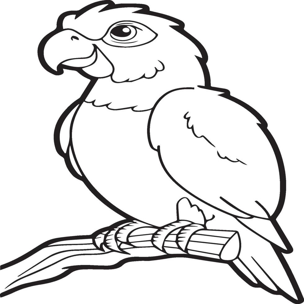 Parrot coloring pages. Coloring pages of Parrot for coloring pages vector