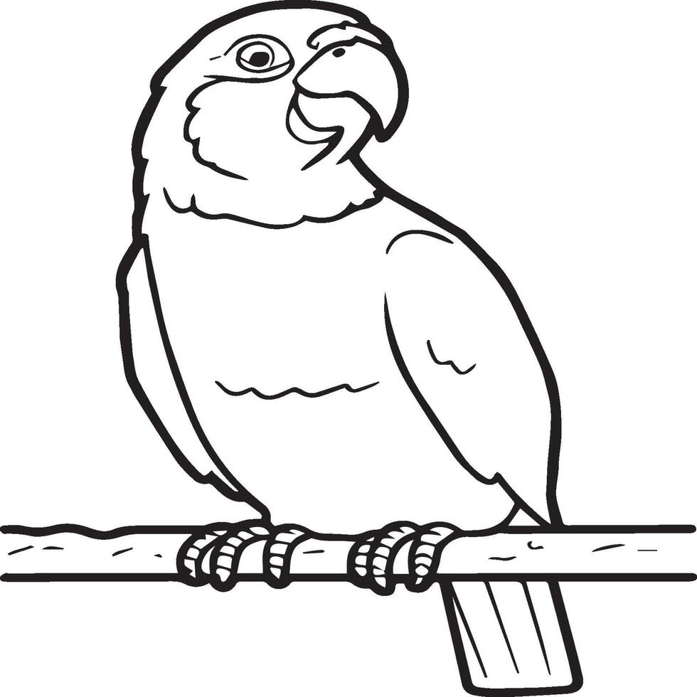 Parrot coloring pages. Coloring pages of Parrot for coloring pages vector