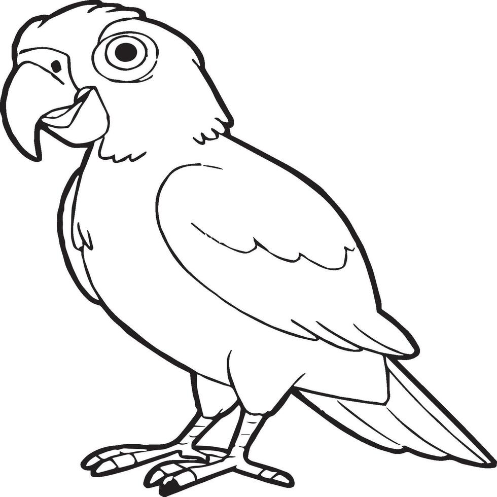 Parrot coloring pages. Coloring pages of Parrot for coloring pages vector