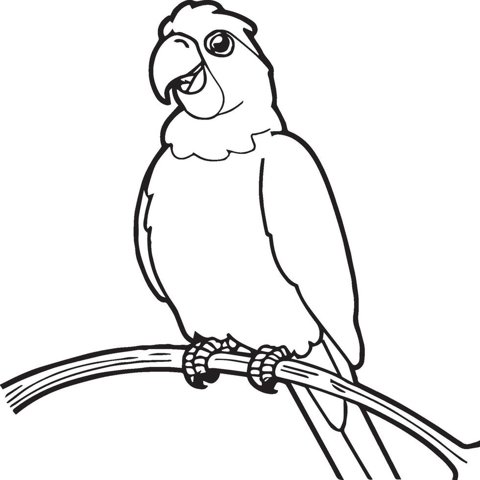 Parrot coloring pages. Coloring pages of Parrot for coloring pages vector