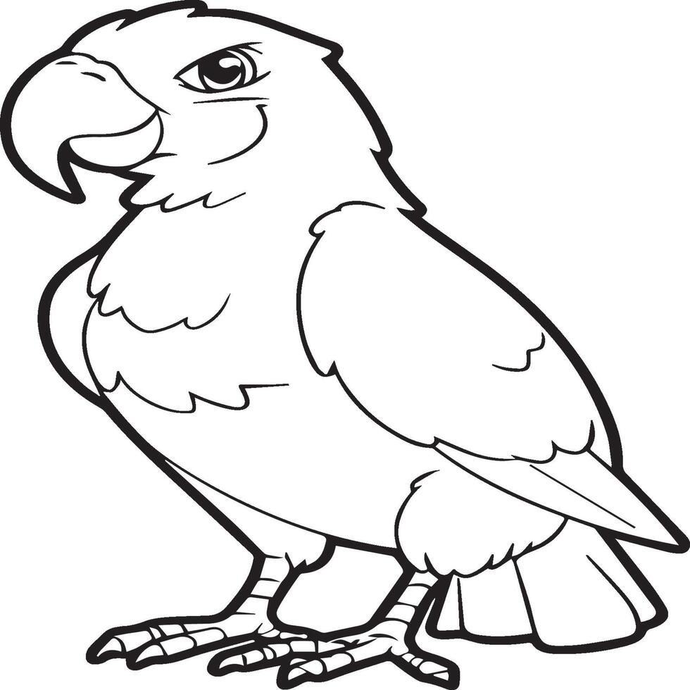 Parrot coloring pages. Coloring pages of Parrot for coloring pages vector