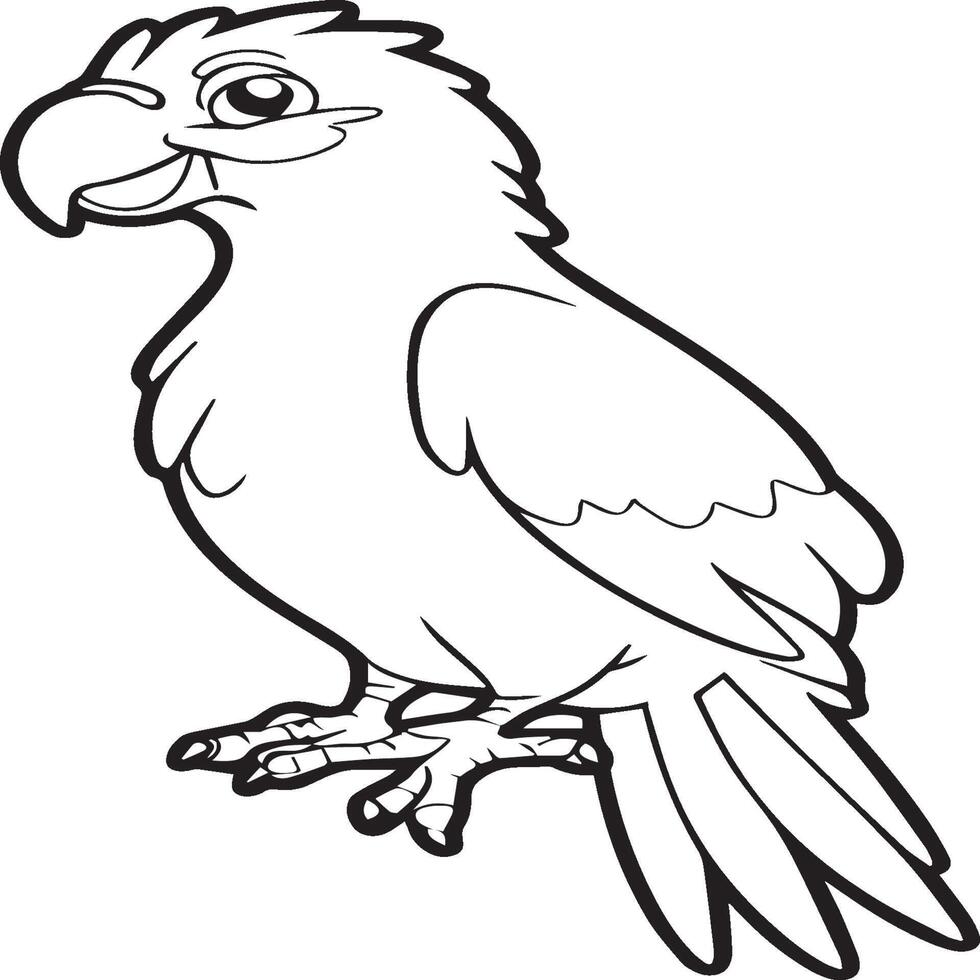 Parrot coloring pages. Coloring pages of Parrot for coloring pages vector