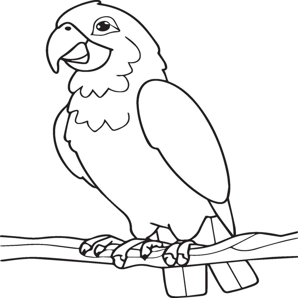 Parrot coloring pages. Coloring pages of Parrot for coloring pages vector