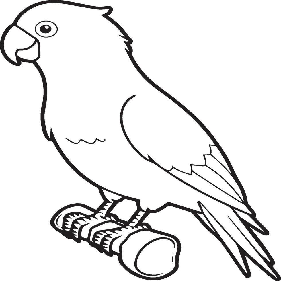 Parrot coloring pages. Coloring pages of Parrot for coloring pages vector