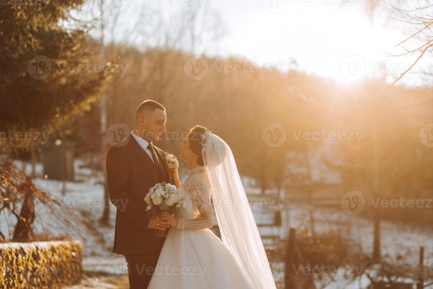 Boda retrato de el novia y novio. invierno caminar en naturaleza. el novia abraza el acicalar, mirando a cada otro. foto