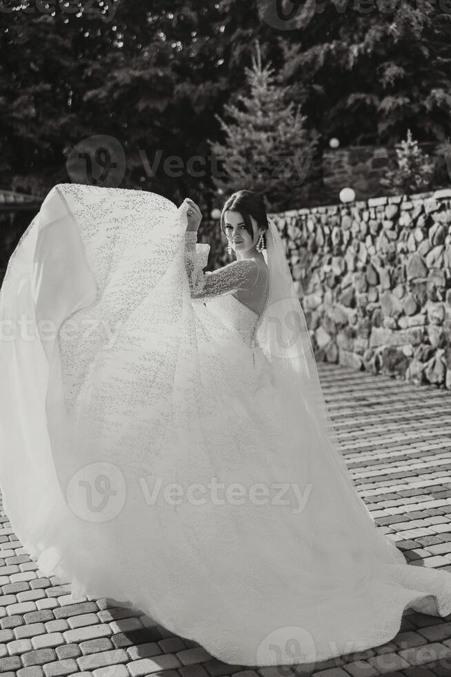 el novia en un lujoso vestir y velo camina abajo el Roca camino con su espalda transformado. negro y blanco foto. magnífico vestir con largo mangas, abierto busto. verano Boda foto