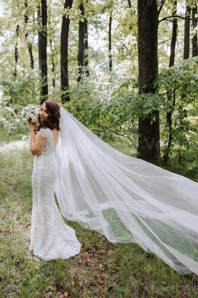 A beautiful bride is standing in a green spring forest in a glamorous white wedding dress with a view of the veil. A romantic bride in a white dress is posing against the background of the forest. photo
