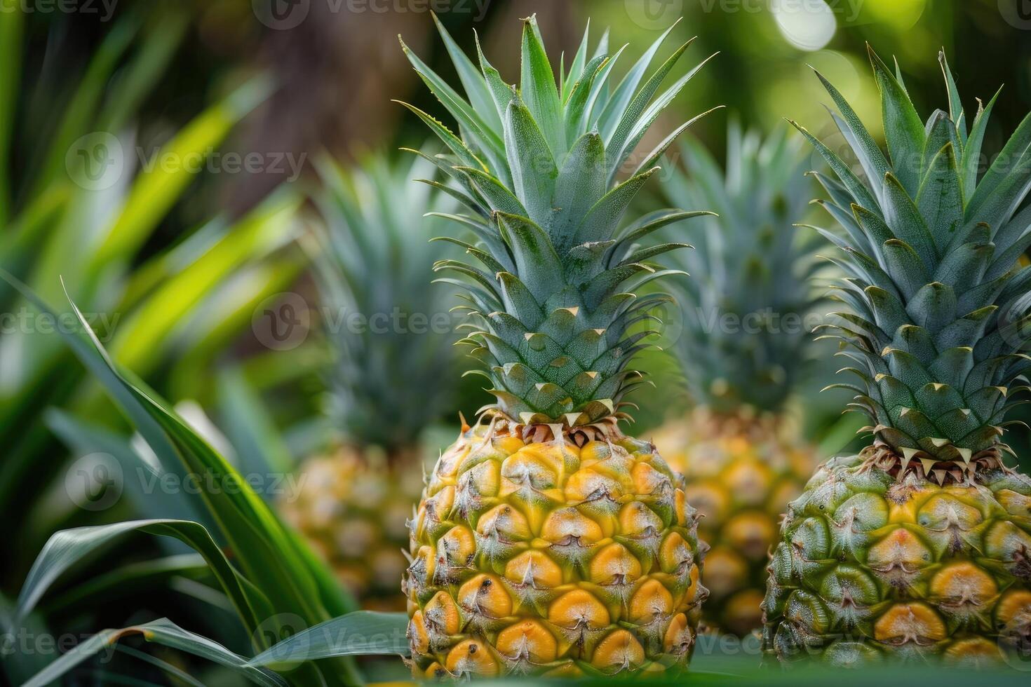 AI generated Pineapples at the garden. photo